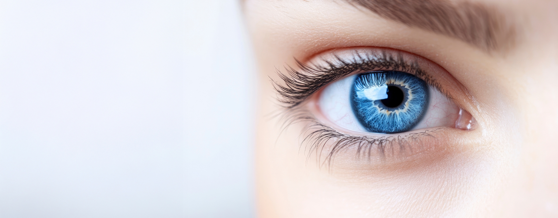 Visiopole du beaujolais