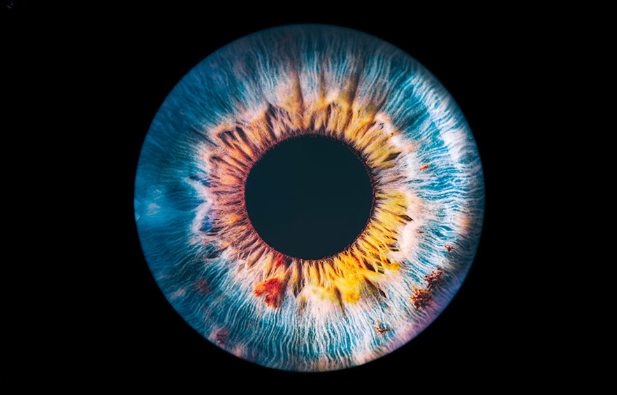 R&eacute;tine d&eacute;finition