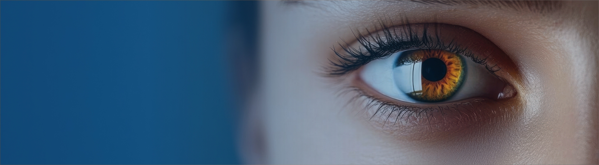 Perception de l'oeil