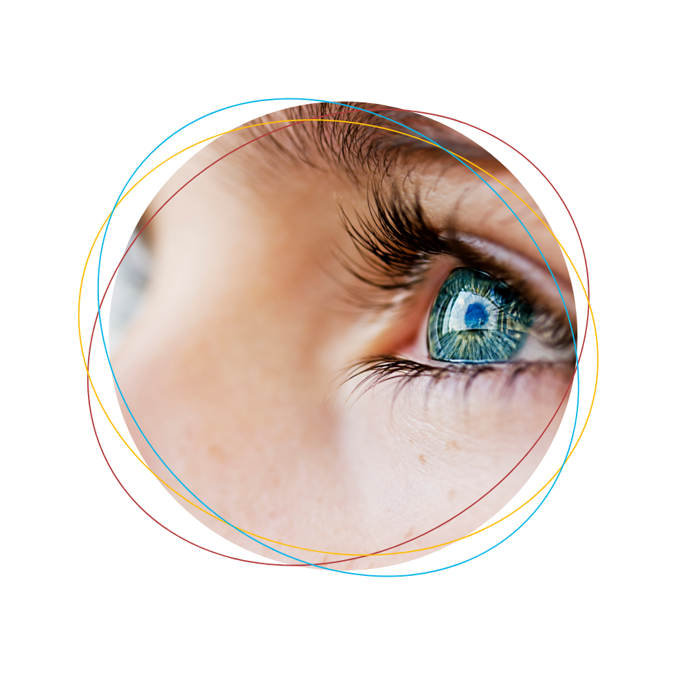 Anatomie de l'oeil Visiop&ocirc;le du Beaujolais