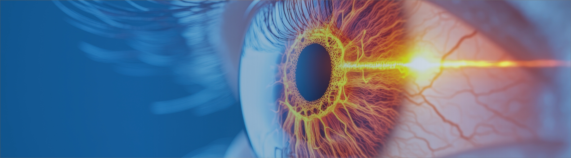 Neuro Ophtalmologie - Visiop&ocirc;le du Beaujolais