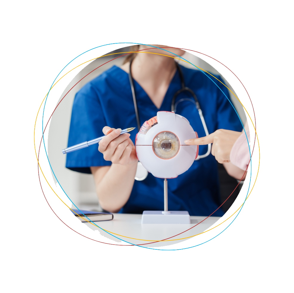 M&eacute;decin utilisant une maquette p&eacute;dagogique d'oeil